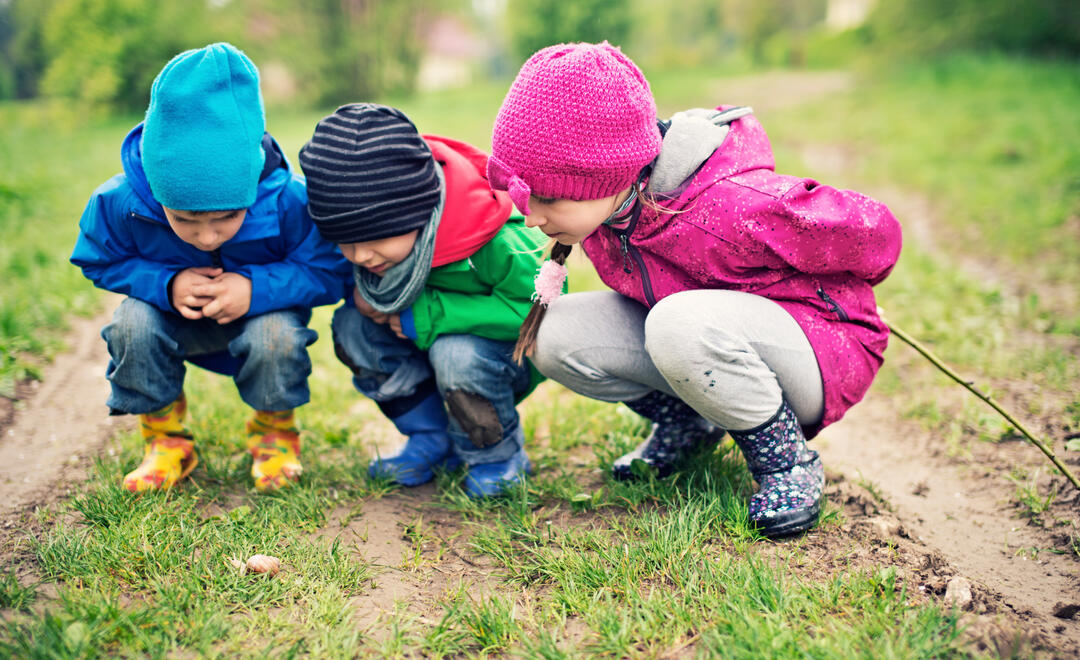 Kinder entdecken in der Natur