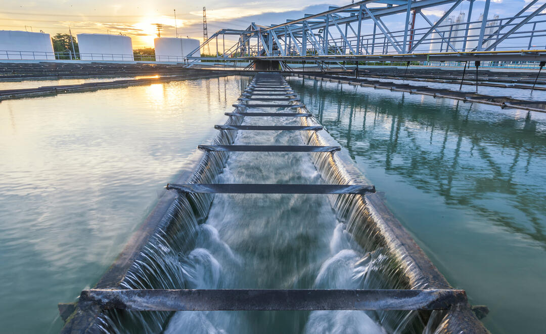 Foto: istock.com/tuachanwatthana