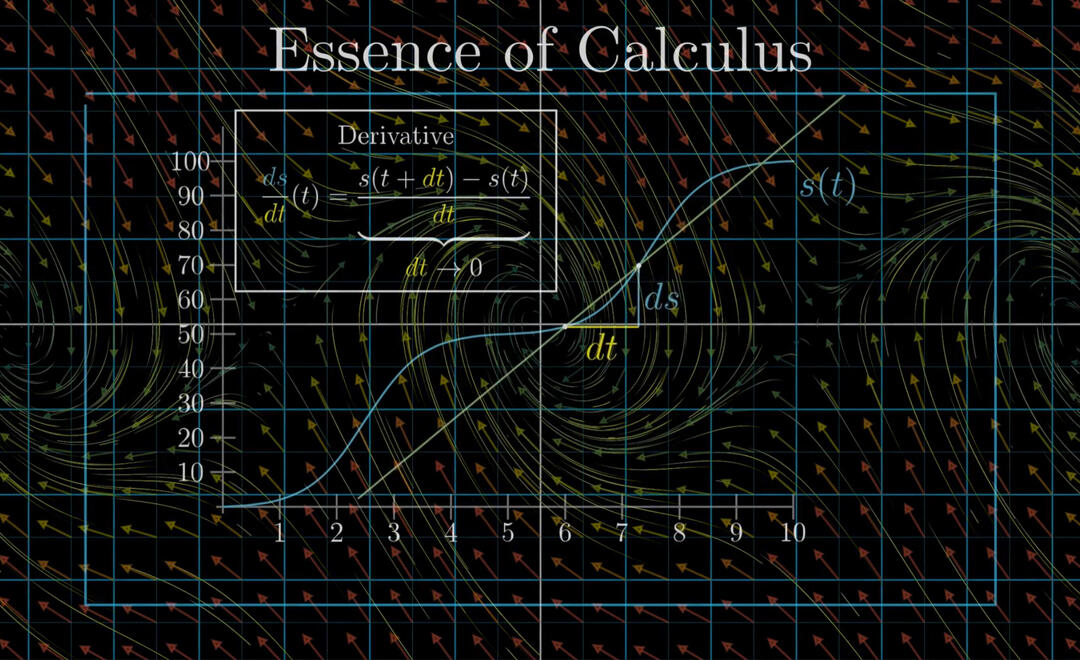 Grafik zum Thema Differentialgleichung (Foto: Screenshot)