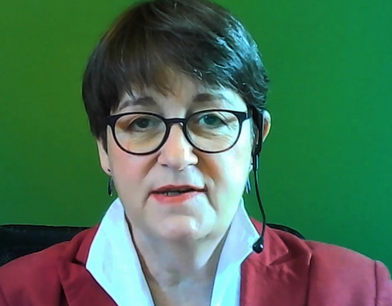 Monika Gross (Foto. Screenshot Stifterverband)