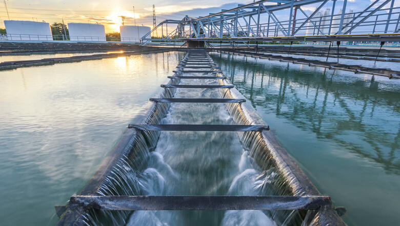 Foto: istock.com/tuachanwatthana